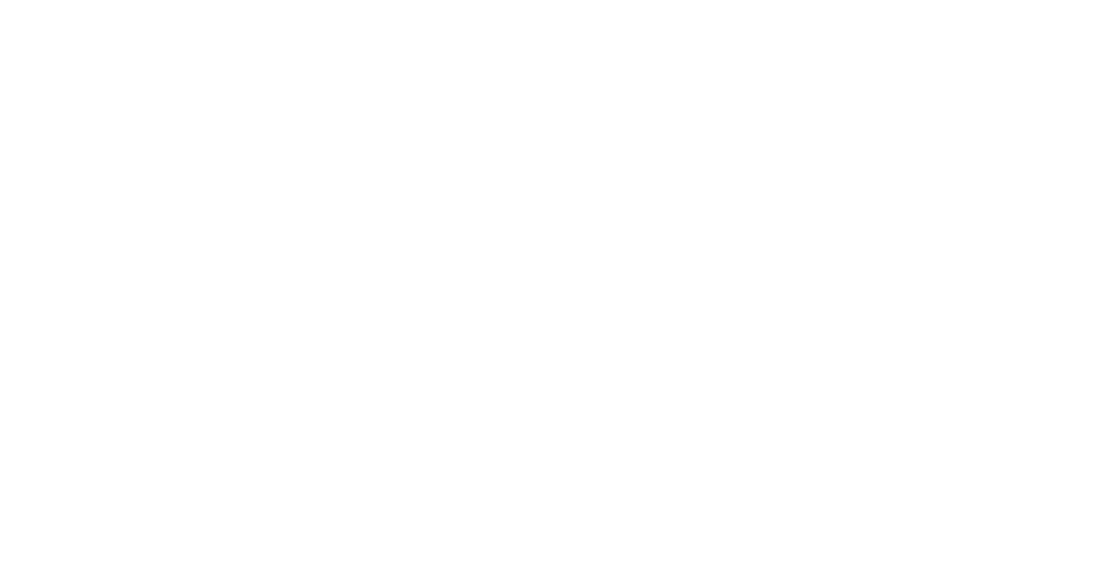 Stiramaniche STR